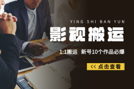 影视搬运项目，1:1搬运，新号10个作品必爆