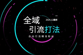 12月全域多平台引流私域打法，自动引流精准粉丝