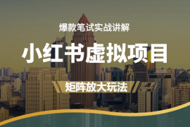 小红书虚拟项目实战，爆款笔记，矩阵放大玩法
