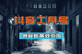 创业粉高效引流，抖音工具号玩法，日引300+