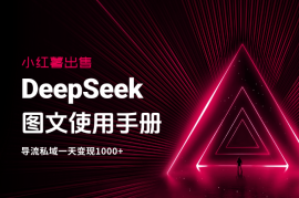 小红薯卖DeepSeek图文使用手册，导流私域一天变现1000+