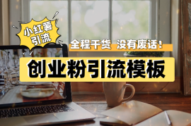 揭秘小红薯创业粉私域引流四大模板，全程干货，没有废话！