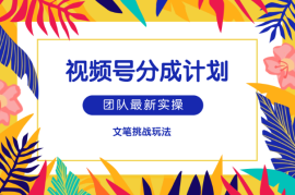 团队最新实操，视频号分成计划文笔挑战玩法
