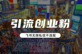 飞书引流创业粉玩法，无限私信不违规