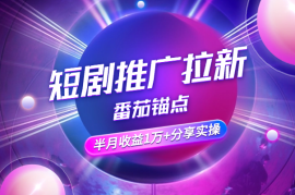 短剧推广拉新番茄锚点半月收益1万+大佬分享实操