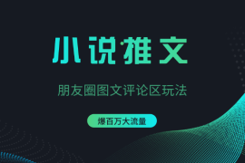 小说推文朋友圈图文评论区玩法，可以爆百万大流量