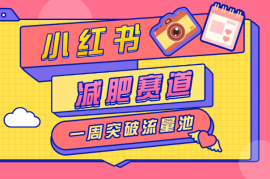 小红书减肥赛道，靠复制粘贴一周突破万级流量池