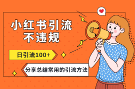 小红书引流流钩子怎么下不违规，一天导流100+【图文】