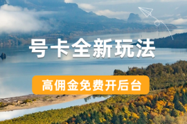 号卡全新玩法来袭，高佣金，免费开后台，小白轻松操作