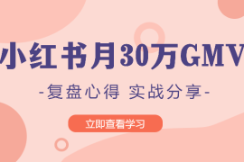 小红书月30wGMV 复盘心得&实战干货分享【图文】