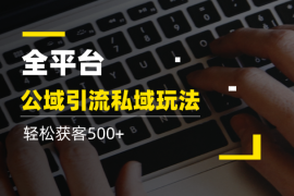 最新全平台公域引流私域玩法，轻松获客500+