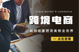 日赚200美金的跨境电商，如何在家把货卖到全世界！