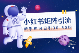 小红书矩阵引流法，新手也可日引30-50粉