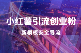 小红薯引流创业粉，新模板玩法并且安全导流，日引100