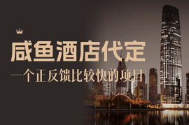 咸鱼酒店代定项目，一个正反馈比较快的项目