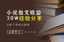 小说推文收益30W大佬经验分享，全程干货毫无保留