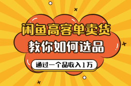 闲鱼高客单卖货新玩法，教你如何选品，如何通过一个品收入1万+