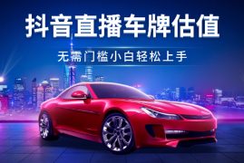 抖音快手直播车牌估值变现项目，无需门槛，小白可轻松上手操作
