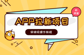 APP拉新项目，保姆级操作教程(附渠道)，小白日入几张