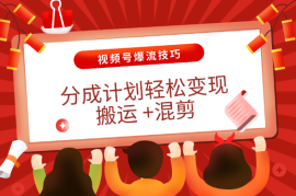 视频号爆流技巧，分成计划轻松变现，搬运 +混剪就可以