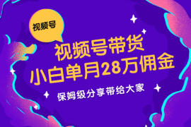 小白单月斩获28万佣金，视频号直播带货【图文】