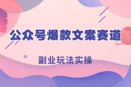 “有图有梗”公众号爆款文案赛道，副业玩法实操一条龙分享给你【图文】