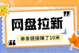 百度网盘拉新，单条链接赚了10米佣金，无门槛操作！