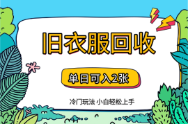 冷门玩法，旧衣服回收项目单日可入2张，小白轻松上手