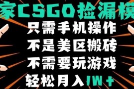 CSGO自动捡漏项目，最新独家玩法，不是美区搬砖，不需要了解和玩游戏，新手小白轻松月入1W+【揭秘】