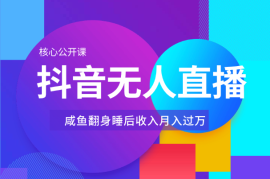 抖音无人直播核心公开课，咸鱼翻身，睡后收入月入过万