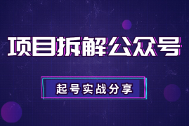 实战派：如何一个月让项目拆解公众号成功起号？【图文】
