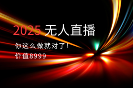 【价值8999】2025年无人直播你这么做就对了！