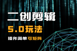 全新二创剪辑5.0玩法，操作简单，可矩阵操作