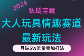 私域宝藏：大人玩具情趣赛道合规新玩法，零投入，私域超高流量成单率高