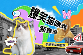爆笑猫咪视频：自媒体搞钱新赛道，手把手带你实操