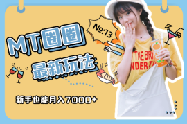 MT圈圈最新玩法，用这个方法，新手也能月入7000+