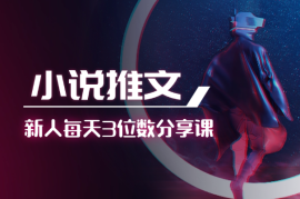 小说推文项目，新人操作6天，每天3位数分享课【语音】
