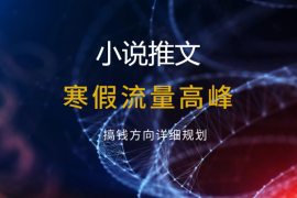 小说推文 寒假流量高峰 搞钱方向详细规划