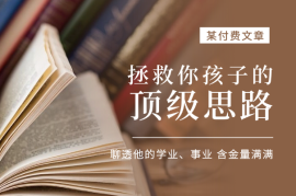 某付费文：拯救孩子的顶级思路，聊透他的学业、事业，含金量满满