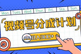视频号分成计划，爆火娱乐赛道，每天半小时日入300+ 