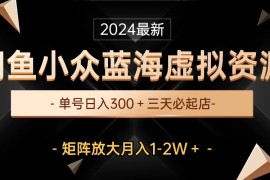 最新闲鱼小众蓝海虚拟资源，单号日入300＋，矩阵放大