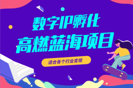 最新高燃蓝海项目 数字IP孵化 适合各个行业变现 