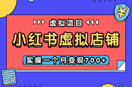 小红书虚拟店铺项目复盘：实操一个月变现700+，玩法分享【图文】