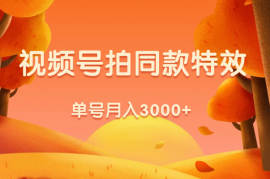 视频号单号月入3000+，利用拍同款特效获取收益，捡钱项目