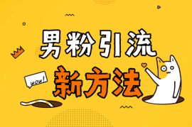 全新男粉引流方法，每天稳定加人，适合个人，矩阵，多渠道变现