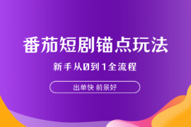 番茄短剧锚点玩法全流程，新手从0到1，出单快，前景好