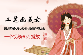 视频号分成计划新玩法，工笔画美女，一个视频30万播放拆解