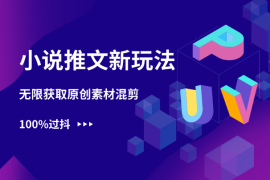 小说推文新玩法，无限获取原创素材混剪实操，100%过抖