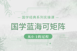 国学项目，长期蓝海可矩阵，从0-1的过程