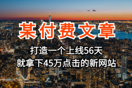 某付费文章《如何打造一个上线56天就拿下45万点击的新网站？》